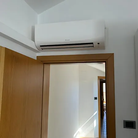 Arena Up By Otium-dog Friendly