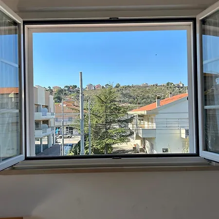 Arena Up By Otium-dog Friendly *