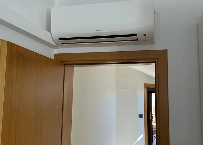 Arena Up By Otium-dog Friendly