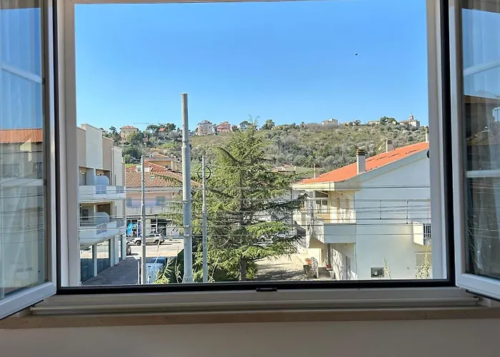 Arena Up By Otium-dog Friendly *