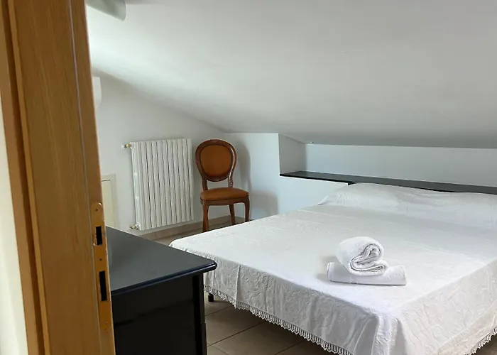 Arena Up By Otium-dog Friendly